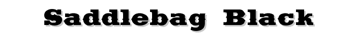 Saddlebag Black font